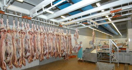 Дезинсекция на мясокомбинате в Балашихе, цены на услуги